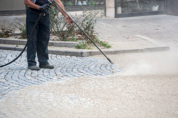 Animal Enclosure Cleaning in Franklin, IN