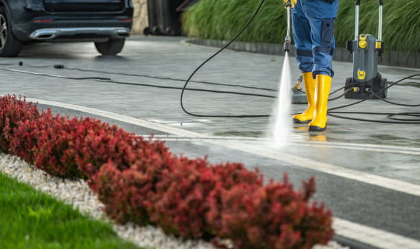Best Roof Washing  in Frankl, IN